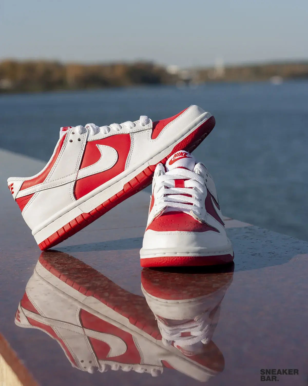 Кроссовки Nike Dunk Low (GS)