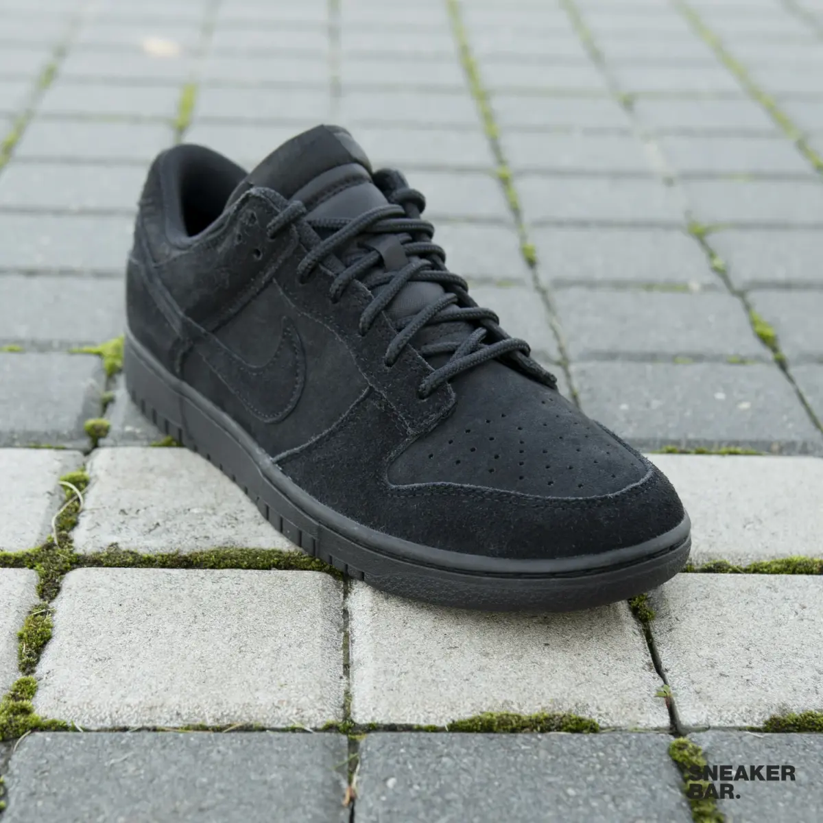 Кроссовки Nike Dunk Low Retro SE
