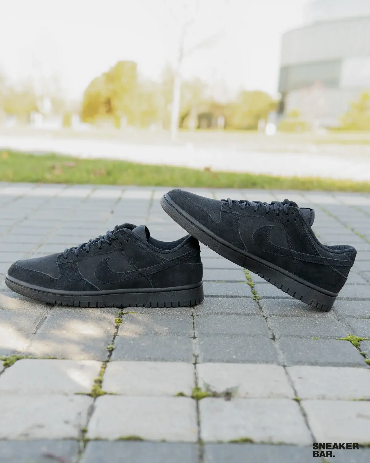 Кроссовки Nike Dunk Low Retro SE