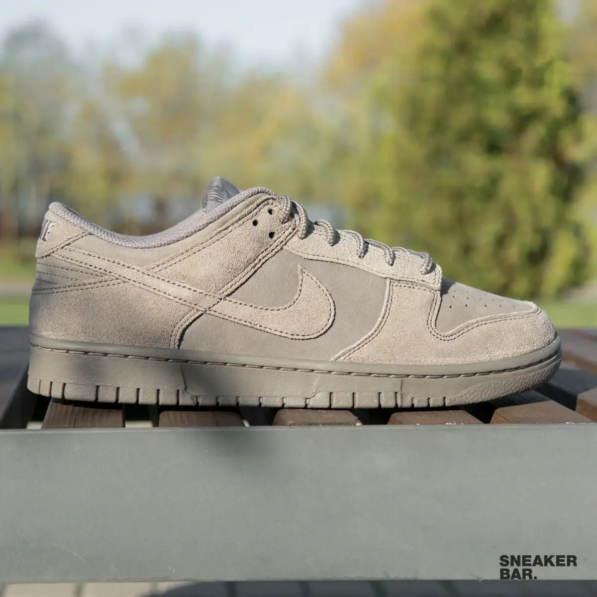Nike DUNK LOW RETRO SE