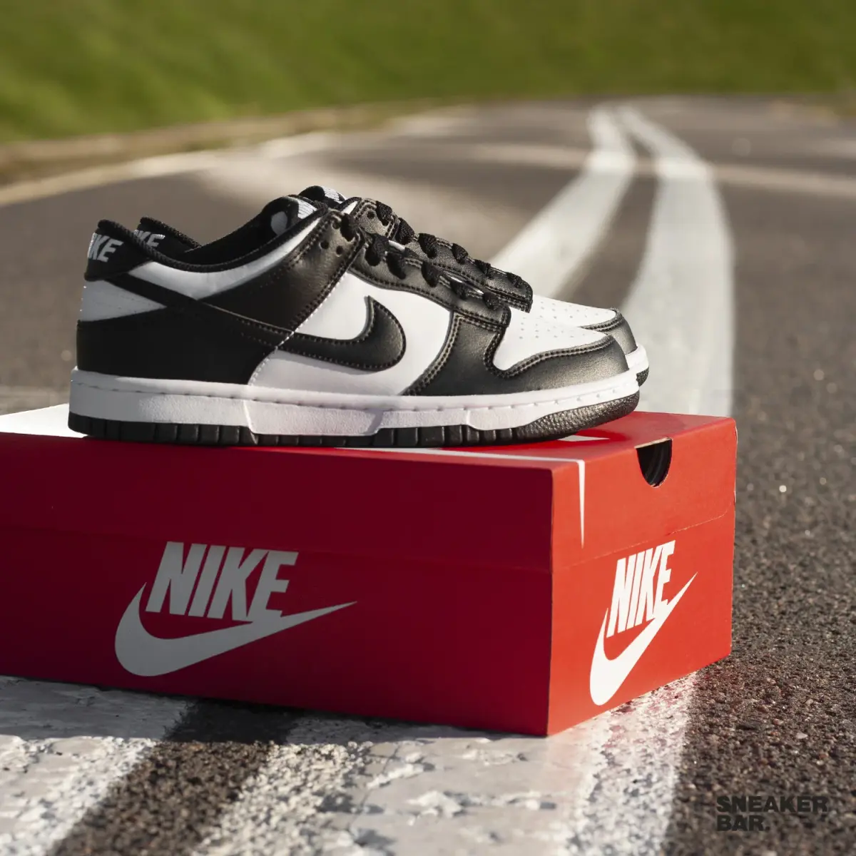 Кроссовки Nike NIKE DUNK LOW GS