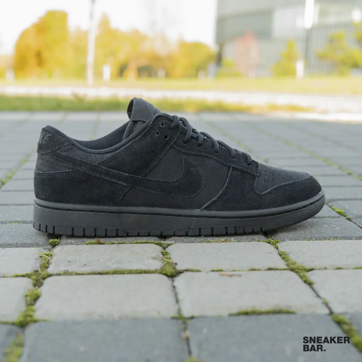 Кроссовки Nike Dunk Low Retro SE