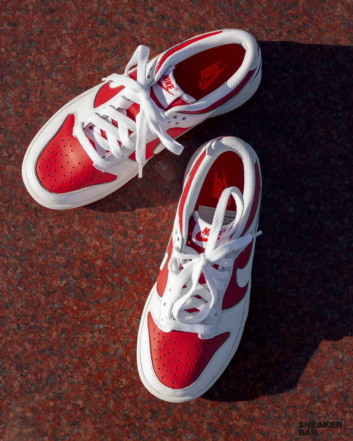 Кроссовки Nike Dunk Low (GS)
