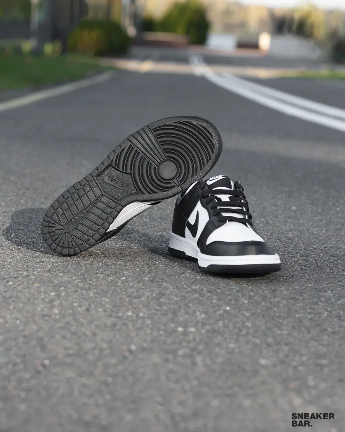 Кроссовки Nike NIKE DUNK LOW GS