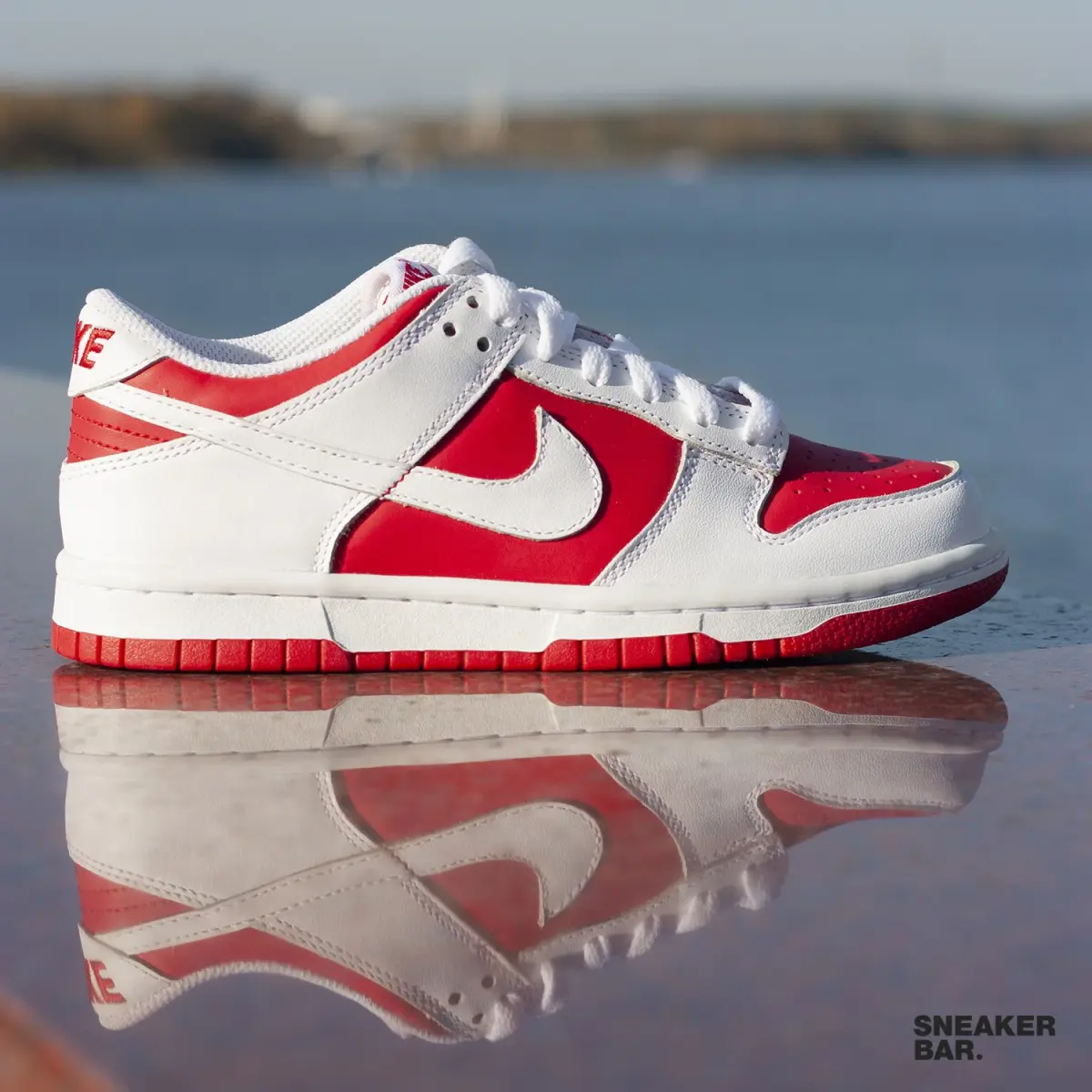 Кроссовки Nike Dunk Low (GS)