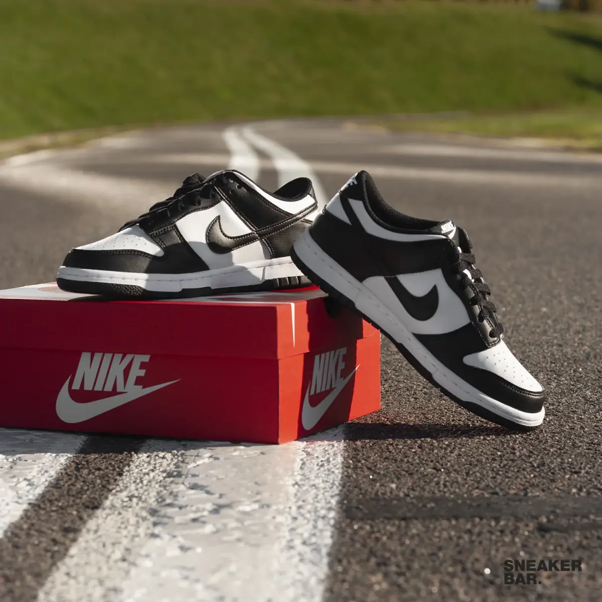 Кроссовки Nike NIKE DUNK LOW GS