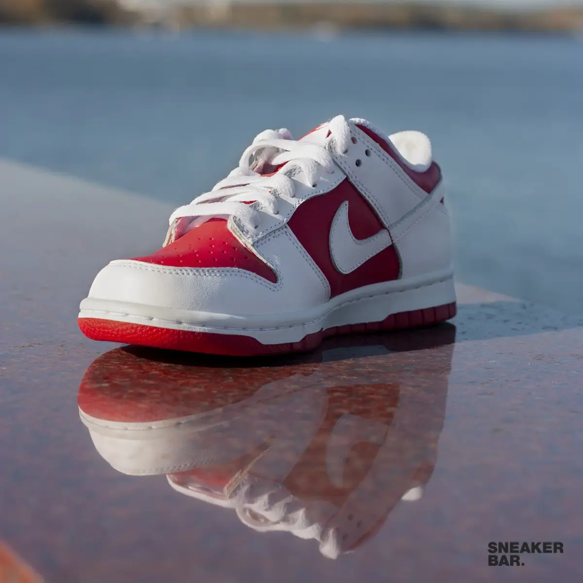 Кроссовки Nike Dunk Low (GS)