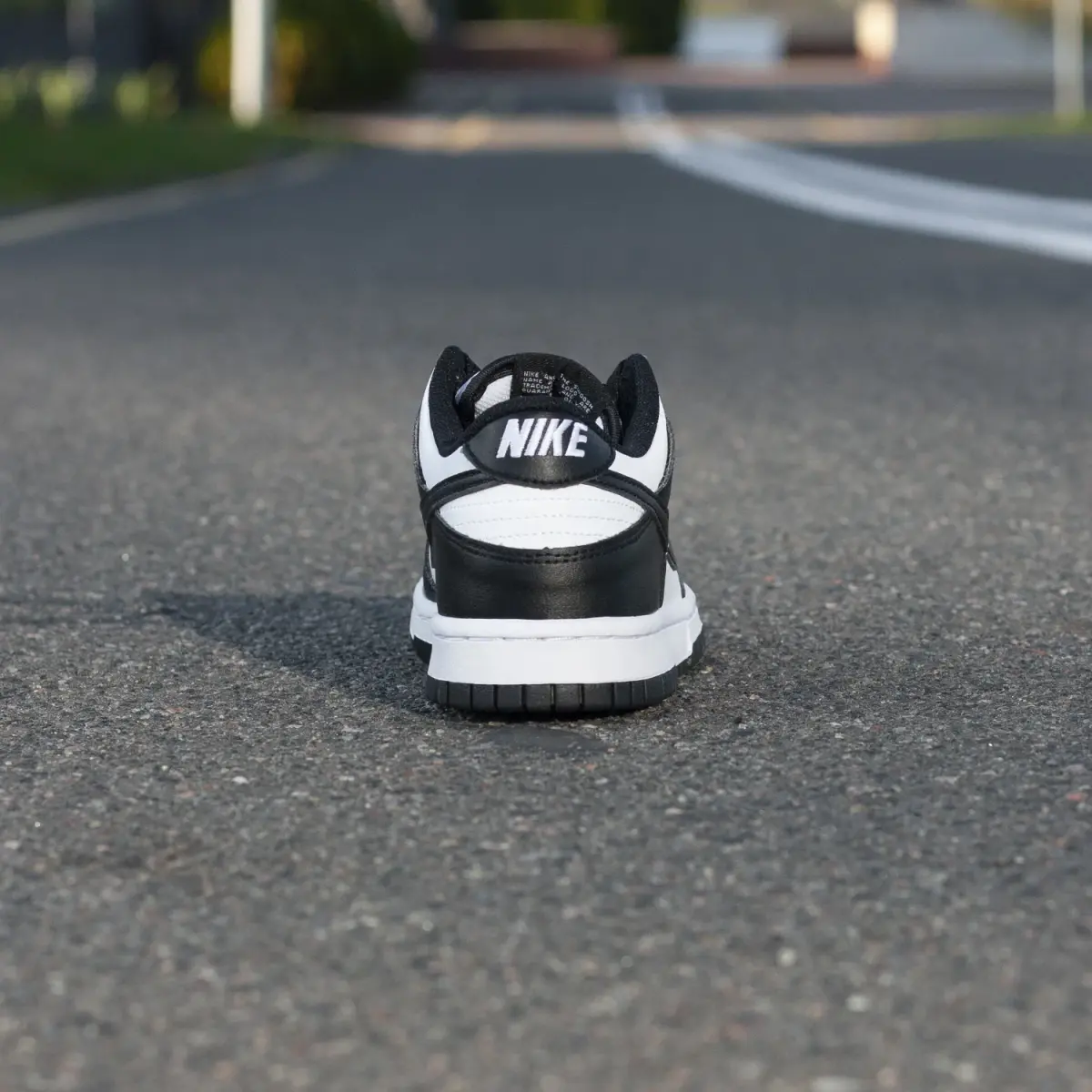 Кроссовки Nike NIKE DUNK LOW GS