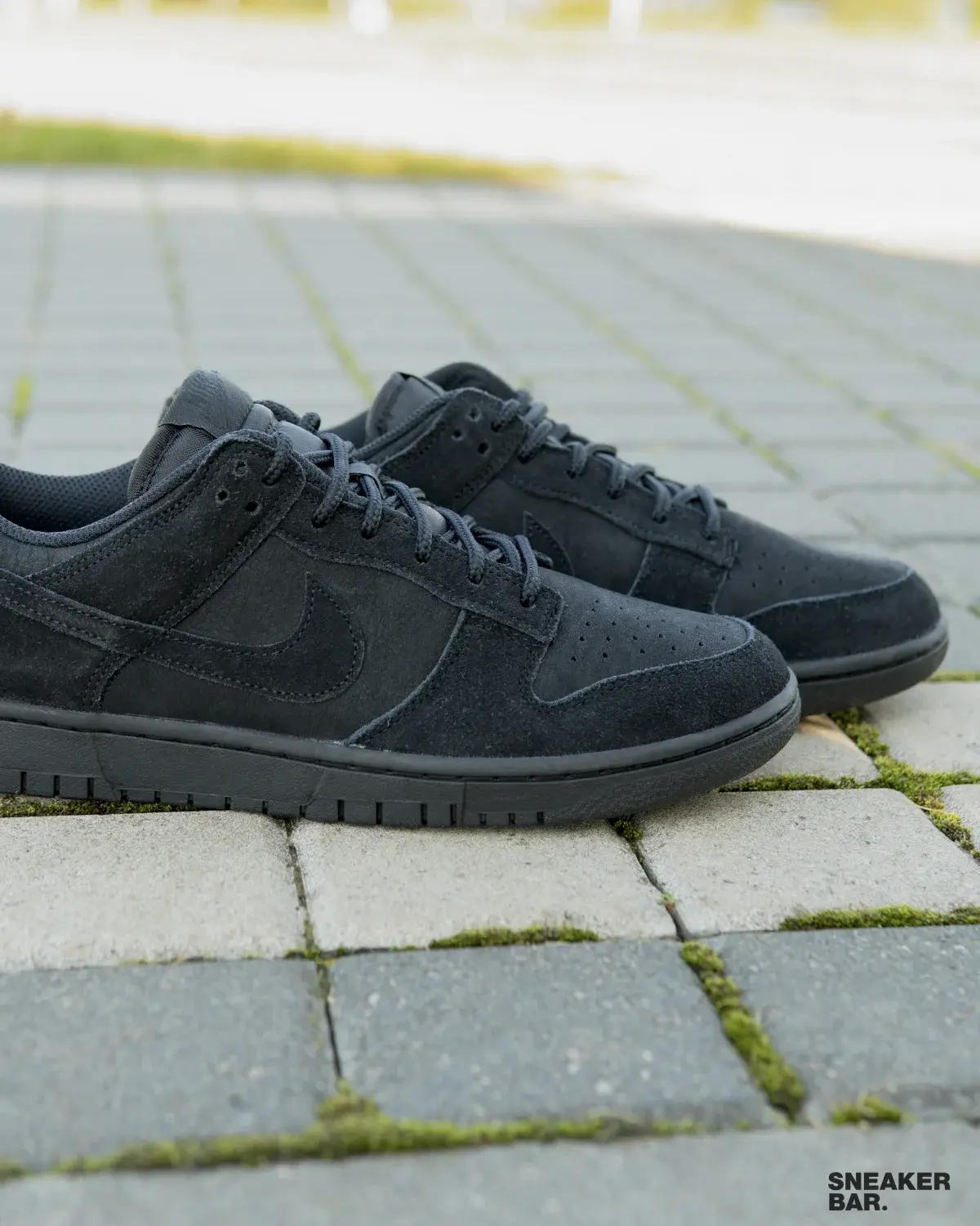 Кроссовки Nike Dunk Low Retro SE