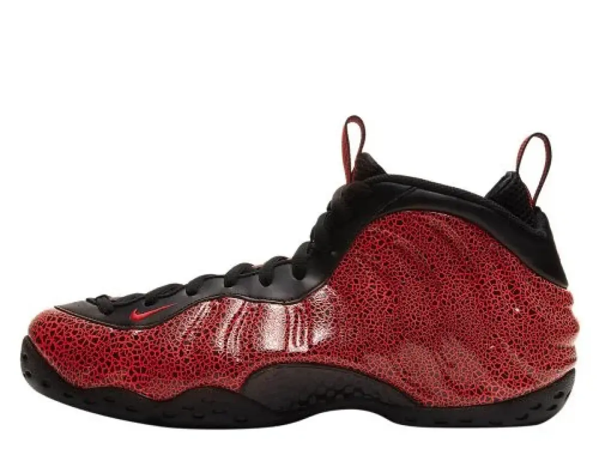 Nike Air Foamposite One