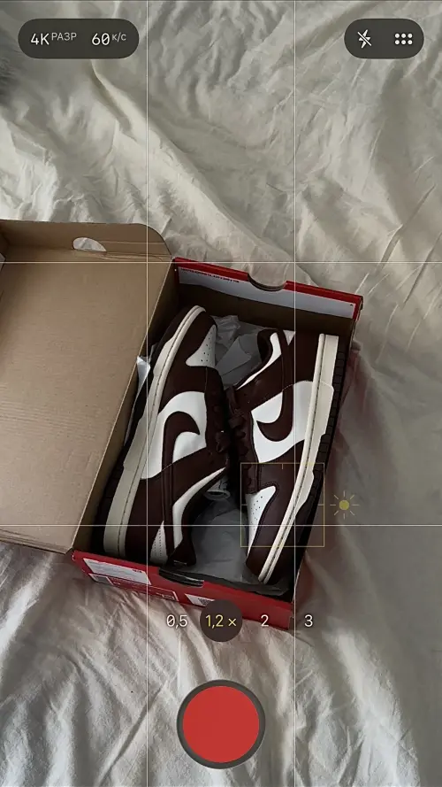 КРОССОВКИ NIKE DUNK LOW (DD1503-124)