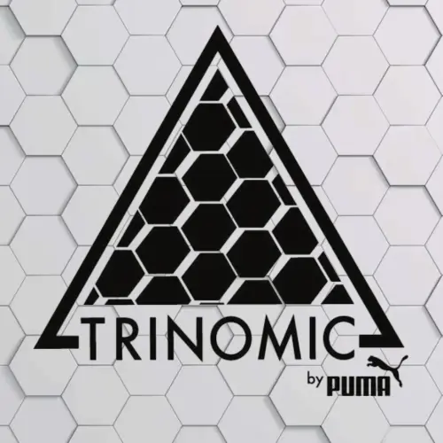 Технология Trinomic