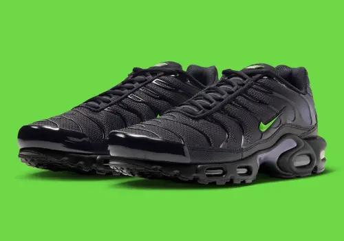 Nike Air Max Plus в расцветке «Joker»