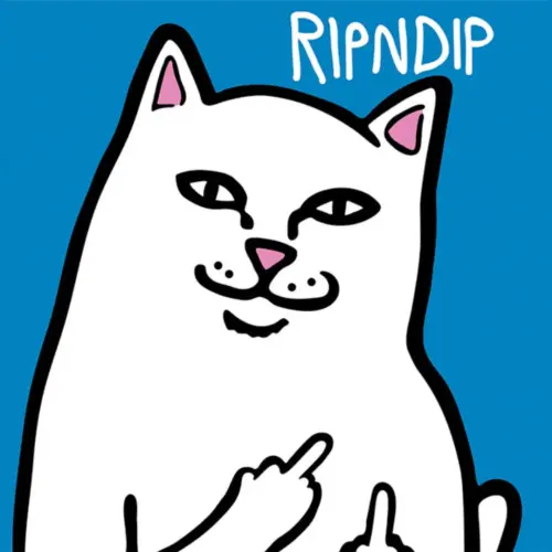 PUMA X RIPNDIP и что за кот Lord Nermal?