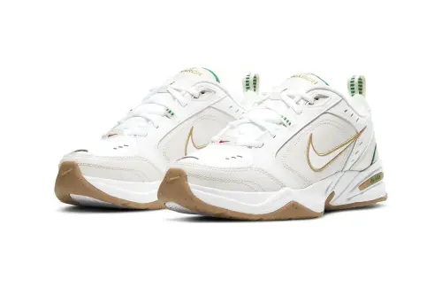 Nike представили новую расцветку Air Monarch