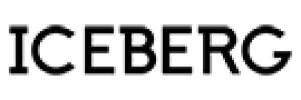 Iceberg