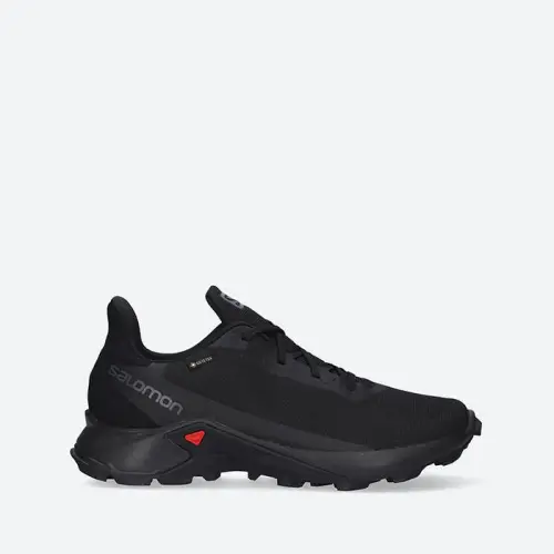 Женские Salomon Alphacross 3 Gore-Tex W 414474