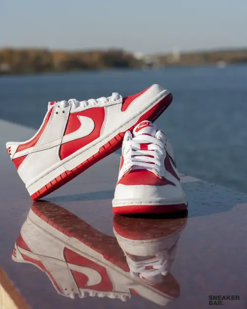 Кроссовки Nike Dunk Low (GS)