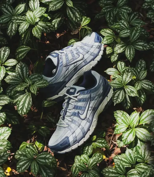 Кроссовки Nike P-6000 SE
