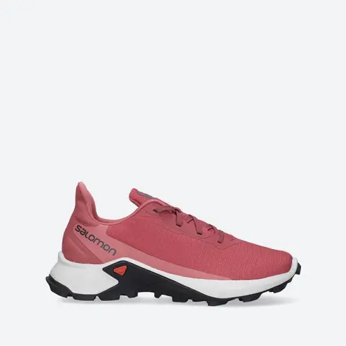 Женские Salomon Alphacross 3 W 414463