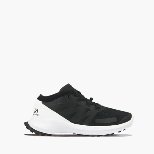 Мужские Salomon Alphacross Blast Gore-Tex GTX 409640