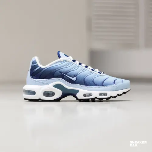 Кроссовки Nike Air Max Plus W 