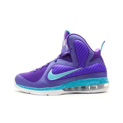 Nike Lebron 9        
