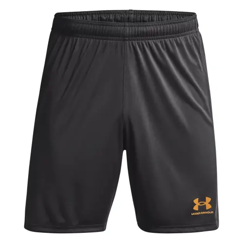 Шорты Under Armour Challenger Knit Short 