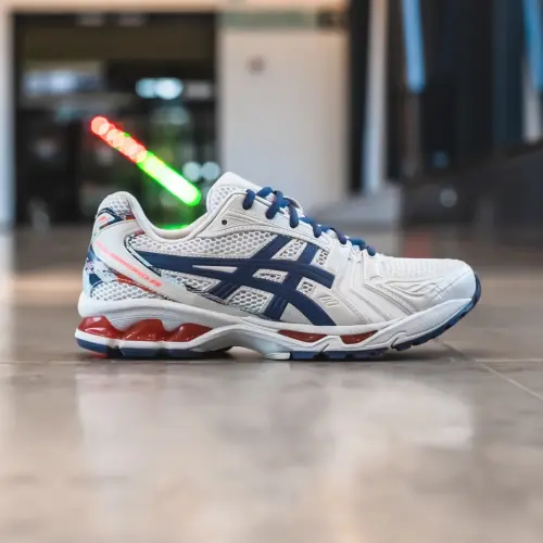 Asics Gel-Kayano 14 