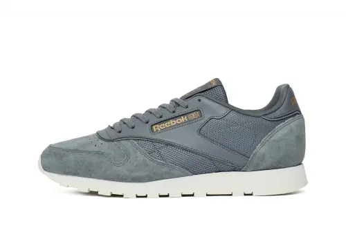 Reebok Classic Leather ALR "Asteroid Dust" 