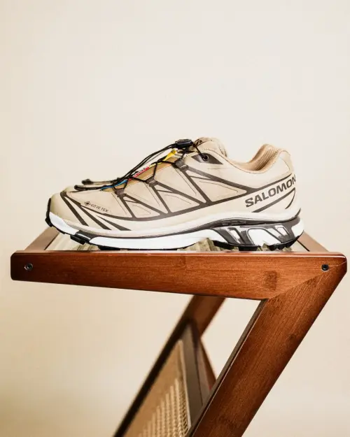 Главные кроссовки последних лет - Salomon XT-6 (сравнение Gore-Tex и без него)