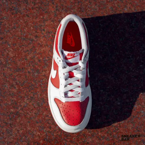 Кроссовки Nike Dunk Low (GS)