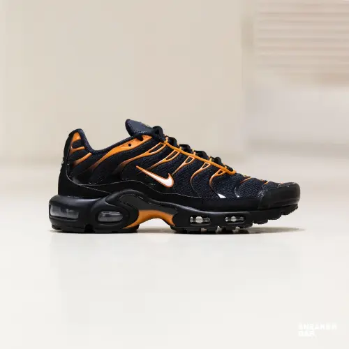 Кроссовки Nike Air Max Plus 