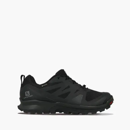 Мужские Salomon Xa Rogg Gore-Tex GTX 411133