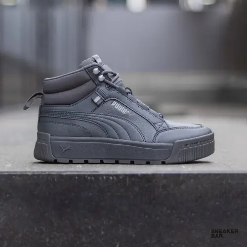 Puma Tarrenz SB III 