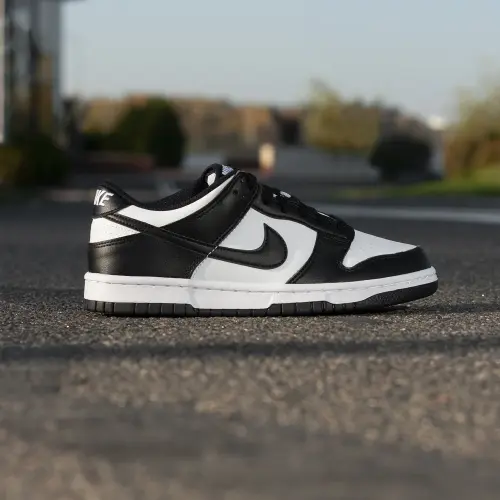 Dunk Low
