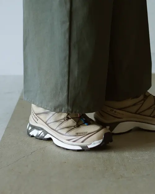 Главные кроссовки последних лет - Salomon XT-6 (сравнение Gore-Tex и без него)