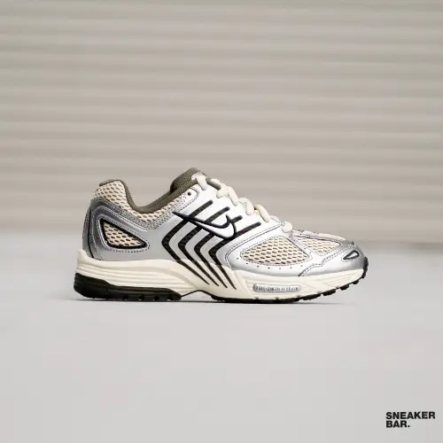 Кроссовки Nike Air Pegasus 2005 