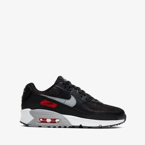 Кроссовки Nike Air Max 90 Gs CZ5866 001