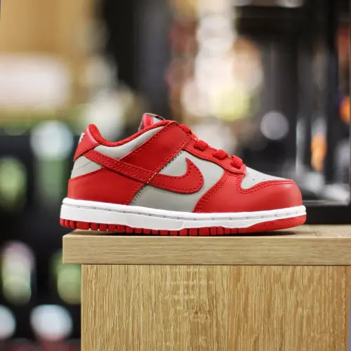 Nike Dunk Low TDE 