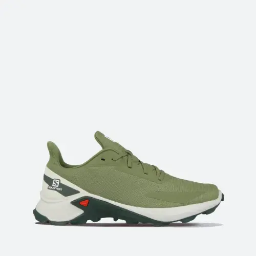 Мужские Salomon Alphacross Blast 412850