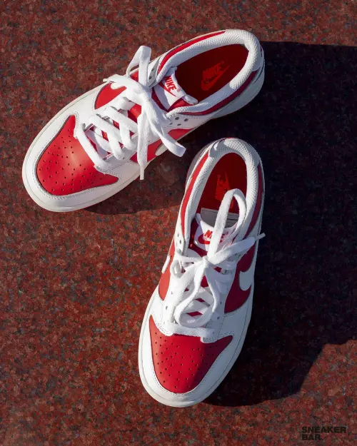 Кроссовки Nike Dunk Low (GS)