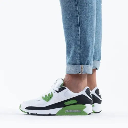 Кроссовки Nike Air Max 90 CT4352 102