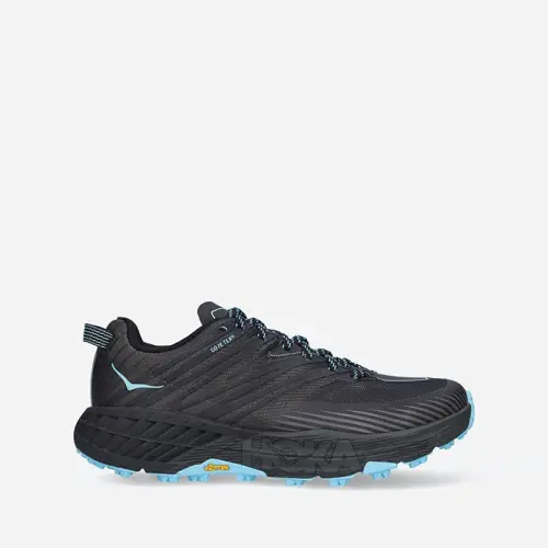 Женские Hoka One One Speedgoat 4 Gore-Tex 1106531 ADGG