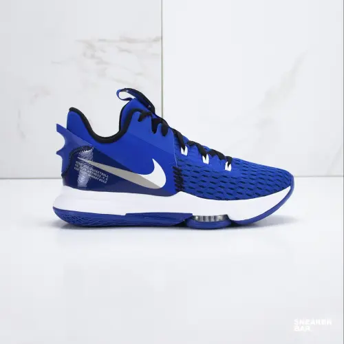 Nike Lebron Witness V 