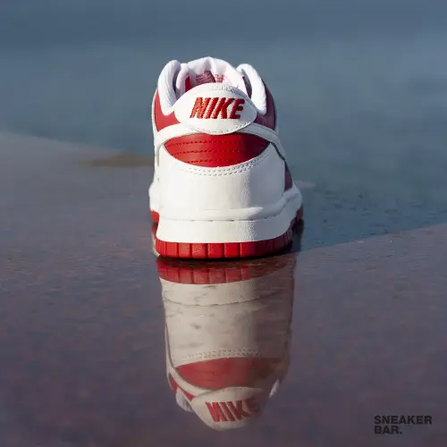 Кроссовки Nike Dunk Low (GS)