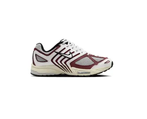 Кроссовки Nike Air Pegasus 2005 W 