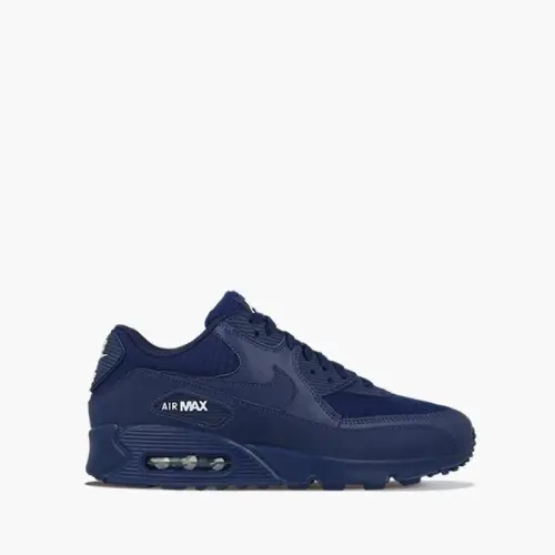 Nike Air Max 90 Essential AJ1285 404