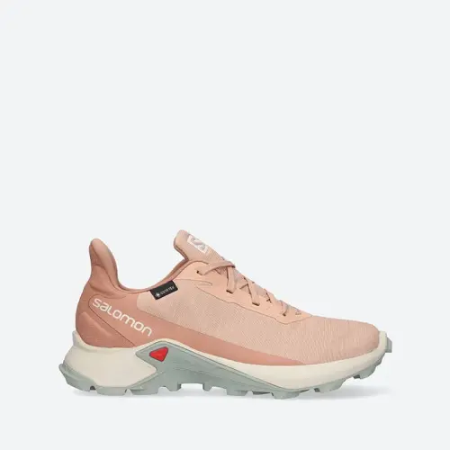 Женские Salomon Alphacross 3 Gore-Tex W 414476
