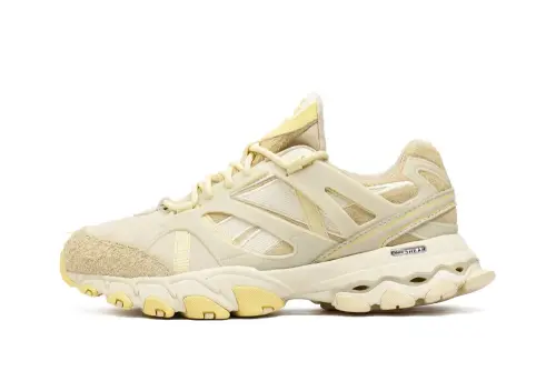 Reebok DMX Trail Shadow 
